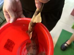 -钱山海鲜大排档