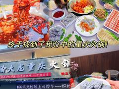 -渝大龙重庆火锅(温泉月亮湾店)