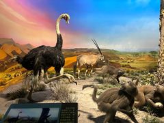 -国家自然博物馆