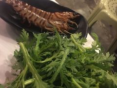 -鲜入围煮花胶鸡海鲜火锅