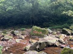 -碧峰峡风景区