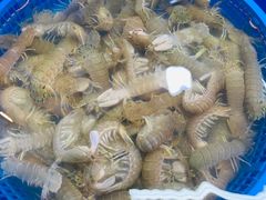 虾爬子-塔湾北行农贸市场