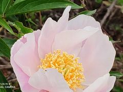 -金堂县云顶石城风景区