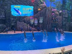 -珠海长隆海洋王国