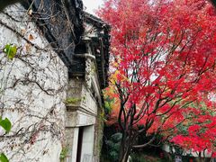 -惠山古镇·寄畅园