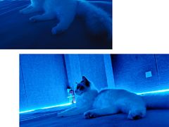 -零纪元VR体验馆·桌游(黄浦店)