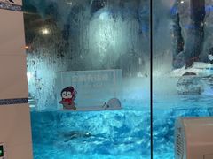 -帝企鹅自助餐厅•儿童岛•真企鹅(长隆企鹅酒店)