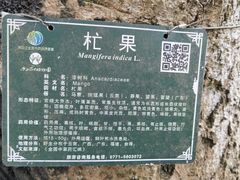 -广西壮族自治区药用植物园