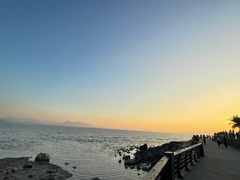 -深圳湾公园(南山区)