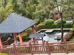 -罗浮山嘉宝田森林温泉度假酒店