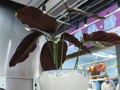 -大头力茶餐厅(花都嘉华广场店)