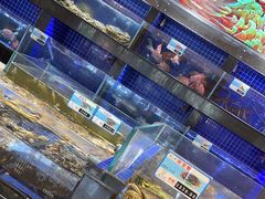 -粤珍轩.创始店.始于2001(含光门店)