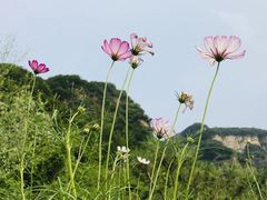 -兴隆红河漂流