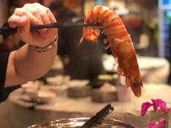 -鲜入围煮花胶鸡海鲜火锅