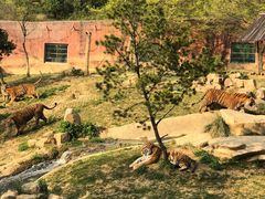 -无锡动物园·太湖欢乐园