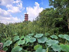 -云龙湖旅游景区
