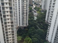 -新湖明珠城