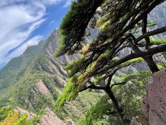 -黄山风景区