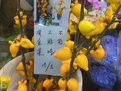 -循礼门鲜花花市(武汉循礼门店)