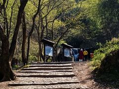 -白水冲瀑布
