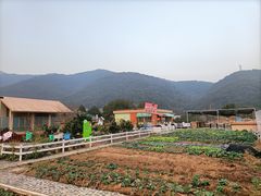 -宁波九龙湖开元度假村