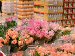 -麦德龙(浦东店)