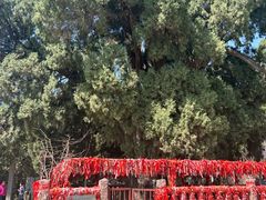 -四门塔风景区