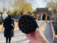 -白洋淀景区