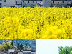 -萍乡武功山风景名胜区