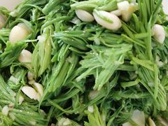 松针白果-金家老三饭庄(常营店)