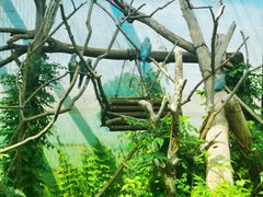 -济南野生动物世界