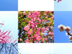 -鹫峰国家森林公园