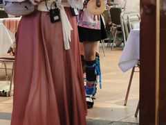 -刘姐啤酒鱼民族演艺餐厅(西街总店)