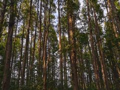 -同里国家湿地公园