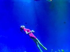 -合肥海洋世界