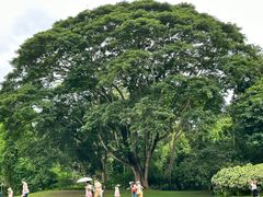 -中国科学院西双版纳热带植物园
