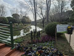 -上海鲜花港