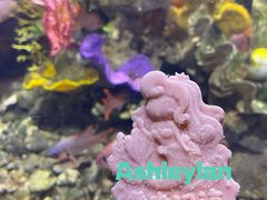 -太平洋海底世界