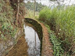 -丰盛镇响水水库