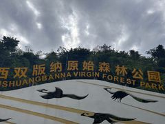 -西双版纳原始森林公园