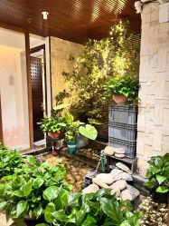 -至爱至信新中式SPA疗愈会所