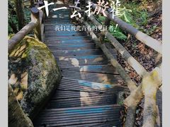 -梁野山景区