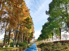 -三生小馆(亭知路店)