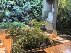 -森味薪火烧•烧鸟居酒屋•日本料理(望京店)