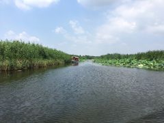 -白洋淀景区