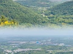 -老山国家森林公园