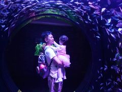 -成都浩海立方海洋公园