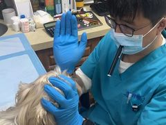 -美联众合动物医院·24h转诊中心
