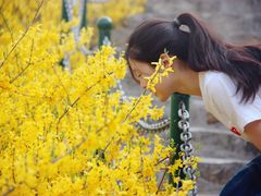 -黄花溪
