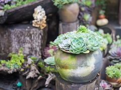 -炊烟餐厅